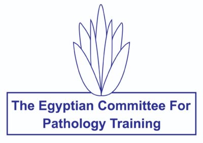 Blog 3 Columns – ECPT